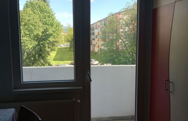 Iosif House Rgbm Reșița - Photo 10