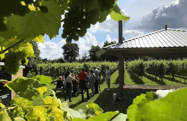 Characteristic House With Wellness in Augustinusga - Foto 37