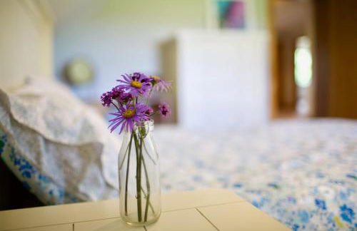 Tate's Meadow - Foto 21