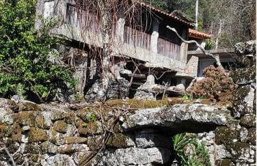 Canastro do Loureiro - Foto 19