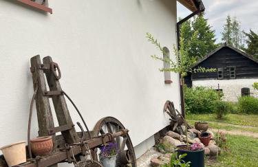 Domek nad jeziorem z prywatnym pomostem, Mazury, Domek Fruzia - Foto 44