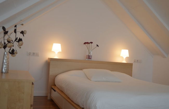 Apartamentos Coronado - Foto 4