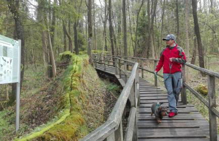 Ferienhof Veit - Foto 40