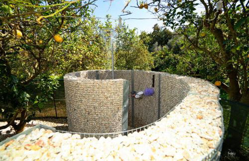 Lemon Garden Camper - Photo 5