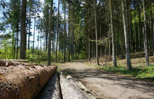 Seepark Kirchheim Ferienhaus bei Nina mit Sauna - Photo 33