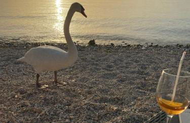 Apt Gardasee Lazise Cola - Foto 25