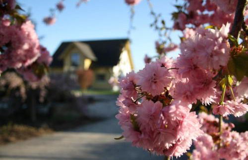 Das gelbe Landhaus - Foto 10