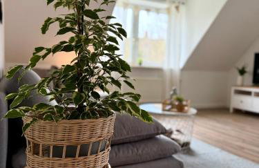 FeWo Hygge Hennstedt - Photo 4