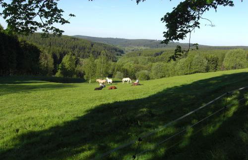 Ferienwohnung Hoher Weg - Foto 28