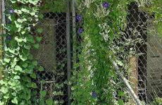 Casa do Hiebra Alojamiento Rural Ribeira Sacra - Foto 23