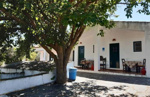 Horta do Muro - Foto 8