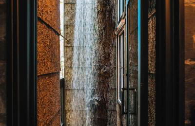 Treetop Hideaways: Wood Lily Treehouse in Chattanooga - Foto 6