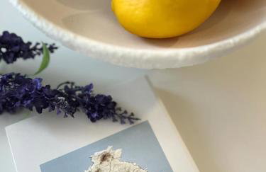 Agali Studios - Photo 51