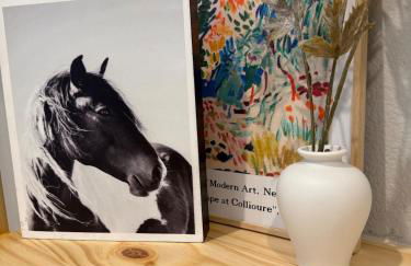 South Lamar Wellness Retreat Sauna Cold Plunge Gym - Photo 41