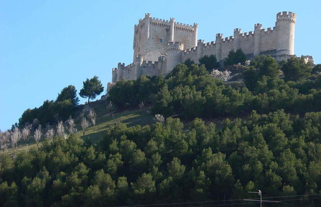 Visita guiada por el castillo de Peñafiel + Museo del Vino - Foto 8