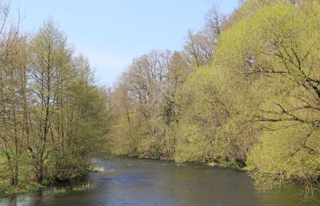 Rendeux Villa With Garden - Photo 35