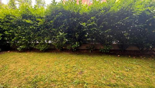 da stefano - Photo 2, Garden, Garden view