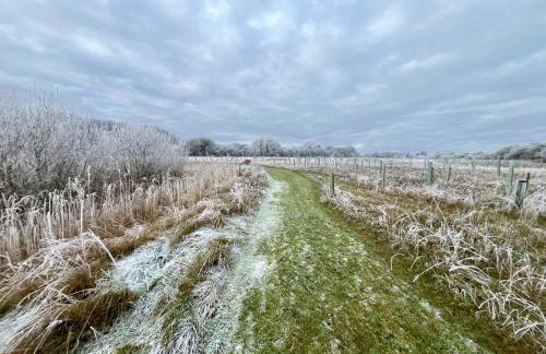 Magog View - Foto 25