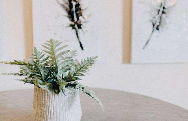 Best House Central Luxury Apartment - Foto 21