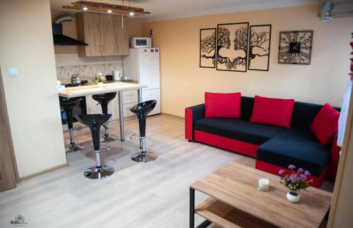 Apartament Pod Górką Gołdap II - Foto 8