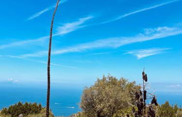 Villa Le Ortensie - Foto 28