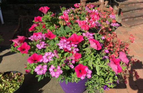 Loaninghead Holidays - Foto 7