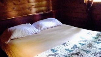 Cedar at Rainier Lodge (0.4 m from Mt.Rainier) - Foto 4