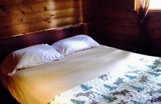 Cedar at Rainier Lodge (0.4 m from Mt.Rainier) - Photo 4