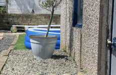 Spacious Family Getaway - Foto 1