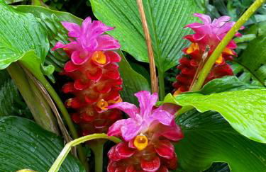 This place is different!! Award winning! Oceanfront, View View! - Foto 41