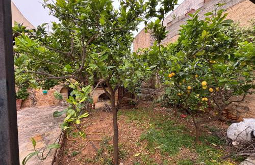 Melina Stone Villa - Photo 35