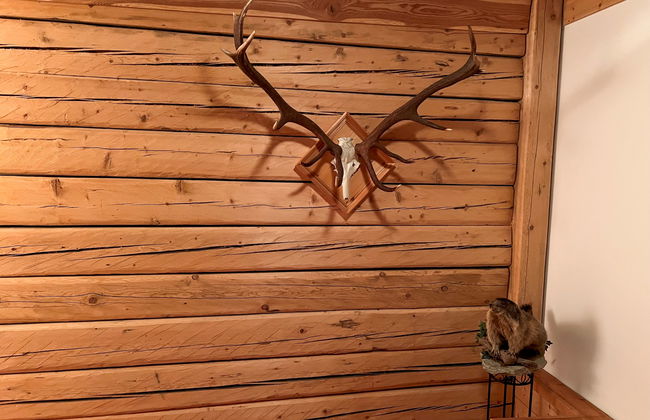 Haslinghof - Foto 16