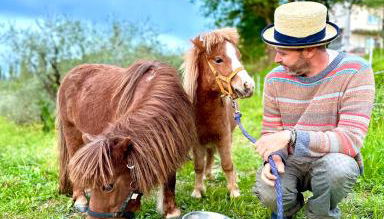 Agriturismo La Pineta - Foto 5