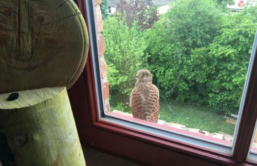 KulturGut Ulrichshalben - Photo 28