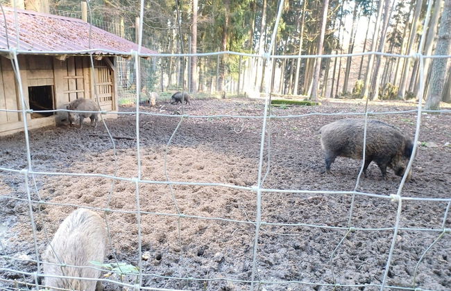 Cozy Holiday Home in Stadlern near Ski Slopes - Foto 35