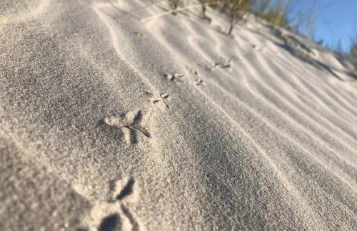 Apartamenty Marszallówka - Foto 21