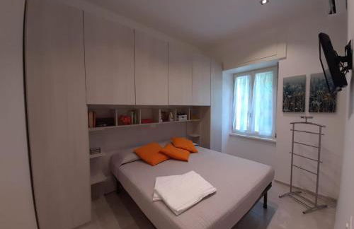 BMP APARTMENT GIOIOSA 2 giardino vista Lago Maggiore - Foto 20