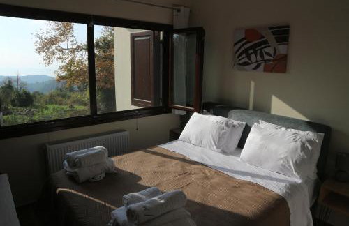 Villa Elea in Milies Pelion - Foto 16