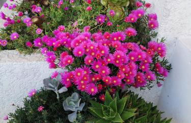 Casa Praia e Ria - Foto 18