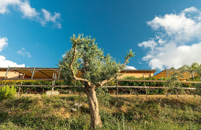 Casette di Calzata - Foto 20