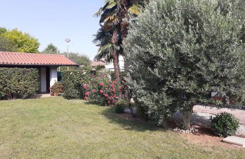 Alla Magnolia - Foto 6