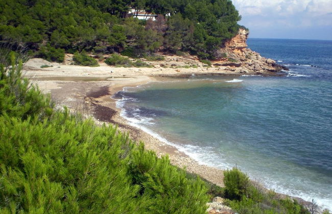 Sol Naixent 2hab - Foto 12