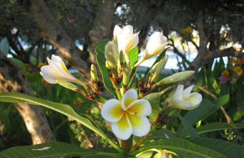 Artemis Apartments - Foto 39