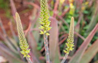 KrinesGReece - Foto 43