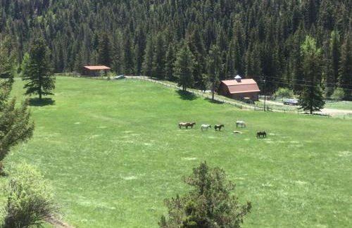 Pine Creek Cabin Livingston Montana - Foto 80