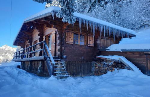 Chalet d'alpage avec vue incroyable - Foto 56