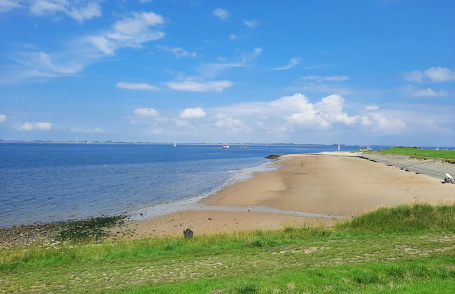 2 bedroom House in Wemeldinge with garden and terrace - Photo 15