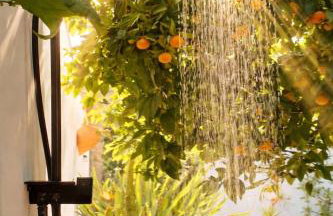 Casa el Montcel, a unique chalet with roofterrace and shared pool - Photo 53