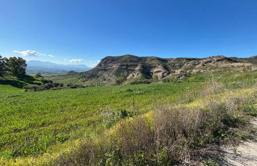 Mount Tatum - Foto 14