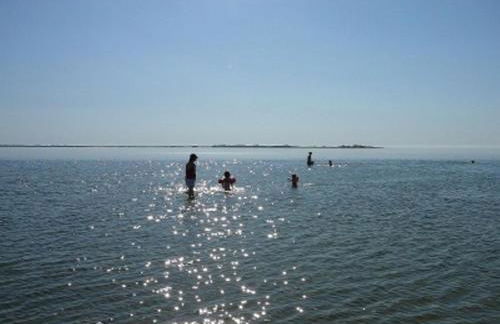 Deichblick - Photo 10